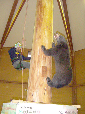 ここをクリックしてください